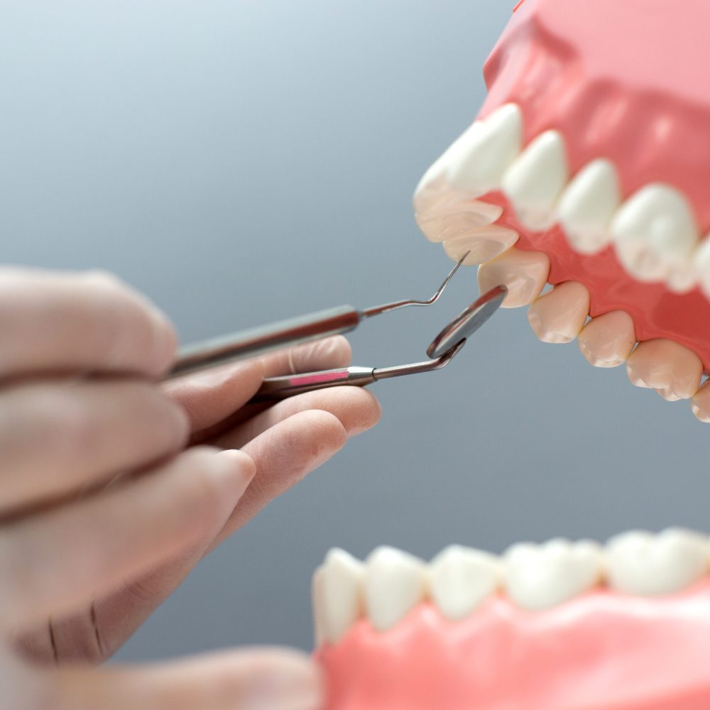 nurse practicing on the layout of the jaw with teeth